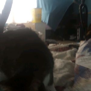 Meet your Posher, Dana